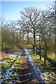 Path to Shipwrights Wood