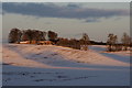 Bridge Farm, Meikleour