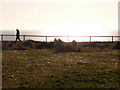 Boscombe: a New Year?s Day clifftop walk