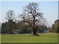 The Downs cricket pitch and pavilion