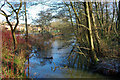 A watery view, Bewbush, Crawley