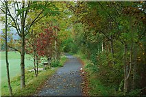 SH7217 : Riverside walk in autumn by John Haynes
