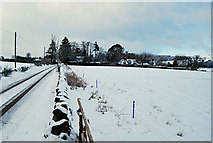 NO6092 : Winter at Myreside by Paul Chapman