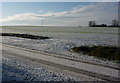 Lane and fields snowscene