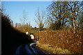 Wall on Isington Lane, Hampshire