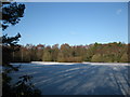 Frozen Lake at Lightwater Country Park