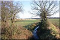 Hedgerow, brook and fields