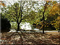 Moseley New Pool in Swanshurst Park