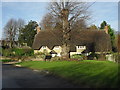 Thatched cottage in Buckland