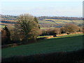 Field, near Bullyhole Bottom