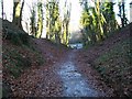 Gainsborough Hill (footpath)