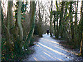 Path round the lake, Coate Water Country Park, Swindon