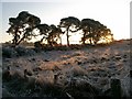 Between Altonburn Hotel and Sandown, Nairn