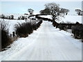 Jackton Road Under Snow