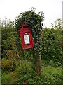 Ivy clad post box at Stone Road End Farm