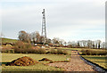 Communications mast east of Staverton