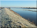 TL4381 : A frosty bank - The Ouse Washes at Mepal by Richard Humphrey