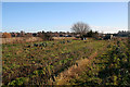 Allotments, Maulden