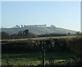 2010 : East from Wick Lane