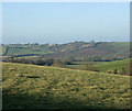 2010 : Looking west from Wick Lane