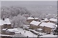 New Year Snow in Oughtibridge - 2