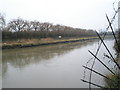 Looking south-west along the Arun from River Road