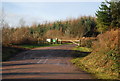 Track into Slowley Wood