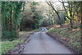 Stouts Way Lane descends through Slowley Wood