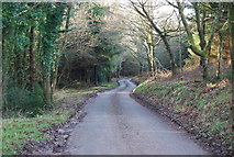 SS9937 : Stouts Way Lane descends through Slowley Wood by N Chadwick