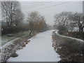 Mid Devon : The Grand Western Canal