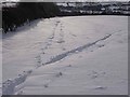 Faint tracks in the snow, near Queen