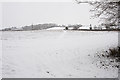 Footpath to Owslebury from bottom of Whites Hill