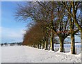 Big snowfall over Strathaven