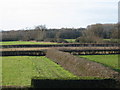 Fields near Longcot