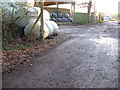 Silage bales and hay barn north of the Downs Link path