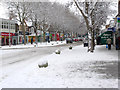 A Snowy Queensway