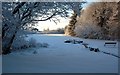 Kirkbride Pond Frozen Over