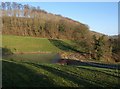 Lake beside Lower Lodge, Ozleworth