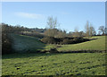 2010 : Valley near Lilliput Farm