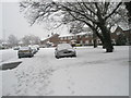 Heavy snow in Woodgreen Avenue