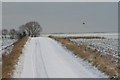 TL3042 : Track across snowy Hill near Steeple Morden by Duncan Grey