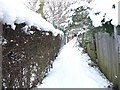 Snowy footpath, heading north