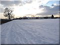 Informal paths along the sports field, parallel to North Avenue