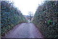 Mill Lane towards Carhampton