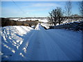 Snow Covered Road