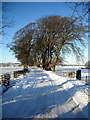 Minor Road Near Nethercraig