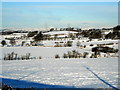 Snow Covered Fields Near Nethercraig