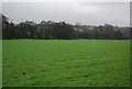 Field near Leigh Cottage