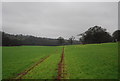 Footpath to Leigh Cottage