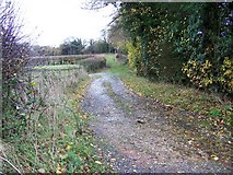 SU3176 : Bridleway, Lambourn Woodlands by Maigheach-gheal